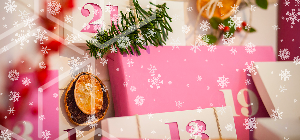 the-next-generation-of-christmas-advent-calendars-greyhound-box