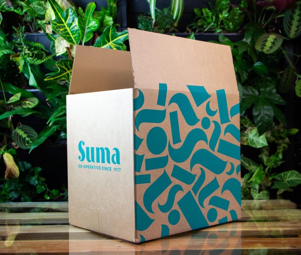 Cardboard Box with Green Design