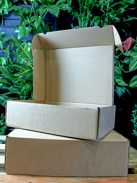 Plain Cardboard Box